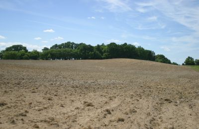 Zámeček na prodej Rogów Wołowski, Dolní Slezsko, Foto 17/25