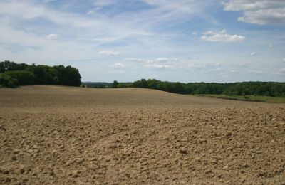 Zámeček na prodej Rogów Wołowski, Dolní Slezsko, Foto 18/25