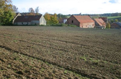 Zámeček na prodej Rogów Wołowski, Dolní Slezsko, Foto 9/25