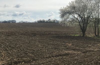 Zámeček na prodej Rogów Wołowski, Dolní Slezsko, Foto 16/25