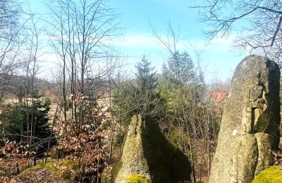 Historická vila na prodej Staniszów, Dolní Slezsko, Foto 17/26