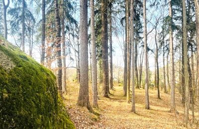 Historická vila na prodej Staniszów, Dolní Slezsko, Foto 16/26