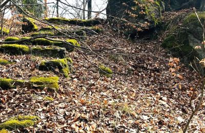 Historická vila na prodej Staniszów, Dolní Slezsko, Foto 20/26