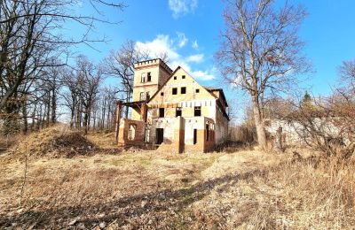 Historická vila na prodej Staniszów, Dolní Slezsko, Foto 12/26