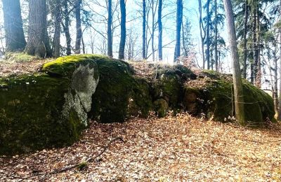 Historická vila na prodej Staniszów, Dolní Slezsko, Foto 15/26
