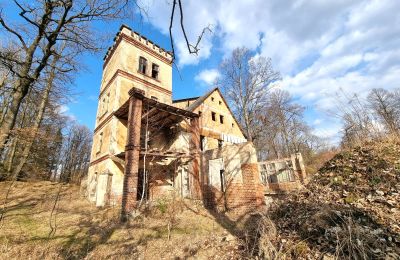 Historická vila na prodej Staniszów, Dolní Slezsko, Foto 5/26