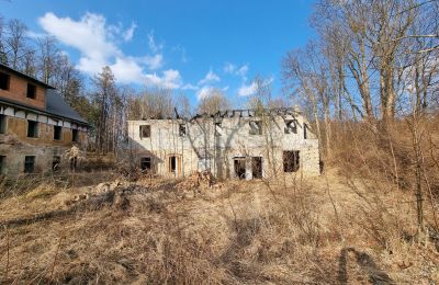 Historická vila na prodej Staniszów, Dolní Slezsko, Foto 2/26