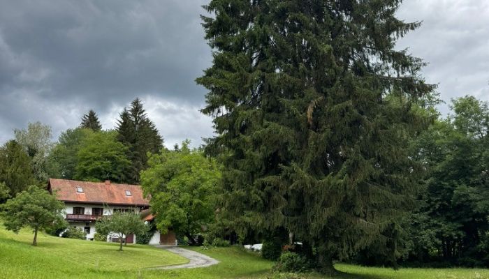  Sankt Stefan ob Stainz 5