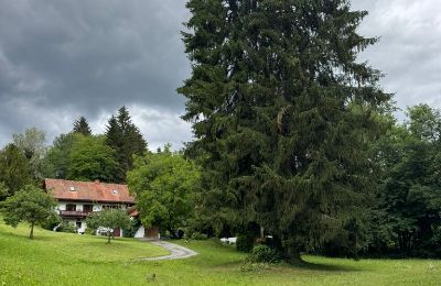 Venkovský dům na prodej Štýrsko, Foto 5/25