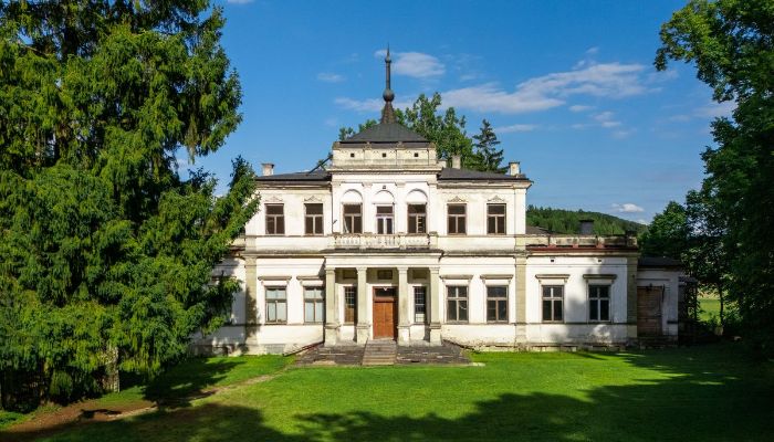 Zámek na prodej Sancygniów, Svatokřížské