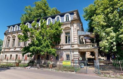 Zámeček na prodej Elsteraue, Bornitzer Weg 01, Sasko-Anhaltsko, Ein-Herrenhaus-mit-Seele-Geschichte-Charakter-und-auergewohnliche-Perspektiven (10)