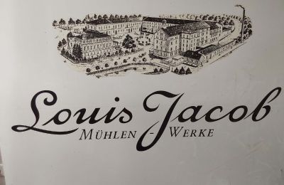 Zámeček na prodej Elsteraue, Bornitzer Weg 01, Sasko-Anhaltsko, Ein-Herrenhaus-mit-Seele-Geschichte-Charakter-und-auergewohnliche-Perspektiven (50)