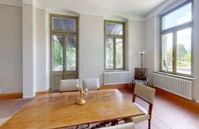 Zámeček na prodej Elsteraue, Bornitzer Weg 01, Sasko-Anhaltsko, Ein-Herrenhaus-mit-Seele-Geschichte-Charakter-und-auergewohnliche-Perspektiven (34)