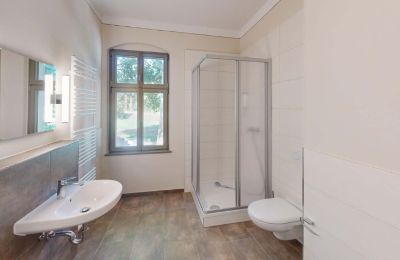 Zámeček na prodej Elsteraue, Bornitzer Weg 01, Sasko-Anhaltsko, Ein-Herrenhaus-mit-Seele-Geschichte-Charakter-und-auergewohnliche-Perspektiven (19)