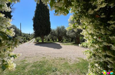 Venkovský dům na prodej 06061 Castiglione del Lago, localita croce 2, Umbrie, Foto 32/38