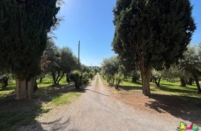 Venkovský dům na prodej 06061 Castiglione del Lago, localita croce 2, Umbrie, Foto 5/38