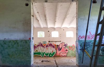 Historická nemovitost na prodej Wioska, Kujavsko-pomořanské, Foto 10/19