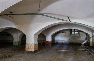 Historická nemovitost na prodej Wioska, Kujavsko-pomořanské, Foto 9/19