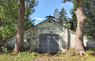 Historická nemovitost na prodej Wioska, Kujavsko-pomořanské, Foto 3/19