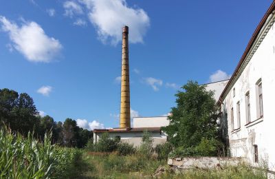 Historická nemovitost na prodej Wioska, Kujavsko-pomořanské, Foto 14/19