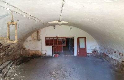 Historická nemovitost na prodej Wioska, Kujavsko-pomořanské, Foto 11/19