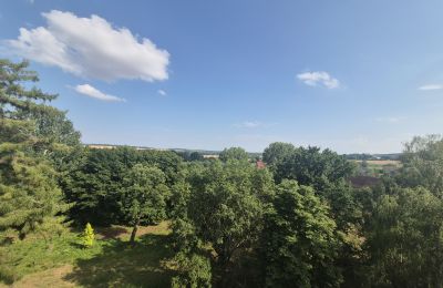 Zámek na prodej Koźmice, Dolní Slezsko, Foto 5/35