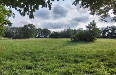 Zámeček na prodej Pakosław, Velkopolské, Foto 13/15