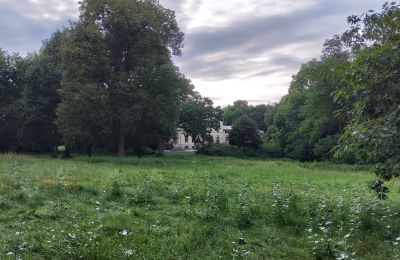 Zámeček na prodej Pakosław, Velkopolské, Foto 15/15