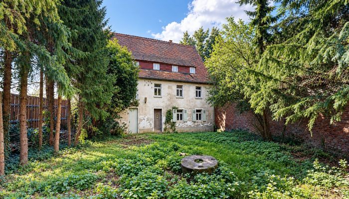 Historická nemovitost na prodej 06686 Lützen, Sasko-Anhaltsko