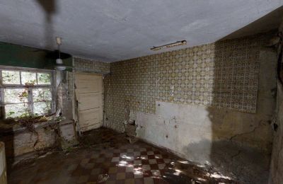 Historická nemovitost na prodej 06686 Lützen, Leipziger Straße 13, Sasko-Anhaltsko, Historische-Wassermuhle-von-Franz-Stockchen-direkt-am-Rippach (31)