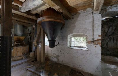Historická nemovitost na prodej 06686 Lützen, Leipziger Straße 13, Sasko-Anhaltsko, Historische-Wassermuhle-von-Franz-Stockchen-direkt-am-Rippach (26)