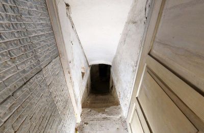 Historická nemovitost na prodej 06686 Lützen, Leipziger Straße 13, Sasko-Anhaltsko, Historische-Wassermuhle-von-Franz-Stockchen-direkt-am-Rippach (30)