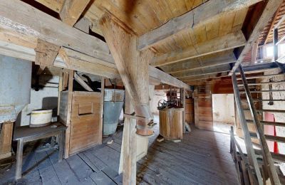 Historická nemovitost na prodej 06686 Lützen, Leipziger Straße 13, Sasko-Anhaltsko, Historische-Wassermuhle-von-Franz-Stockchen-direkt-am-Rippach (35)