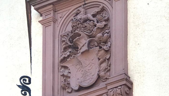 Schöneck 3