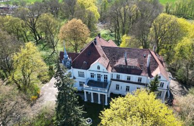 Zámek na prodej Uścikowo, Kujavsko-pomořanské, Widok z drona