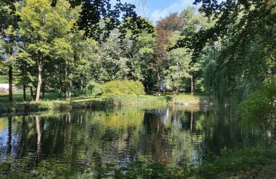 Zámeček na prodej Lodž, Jezero/rybník