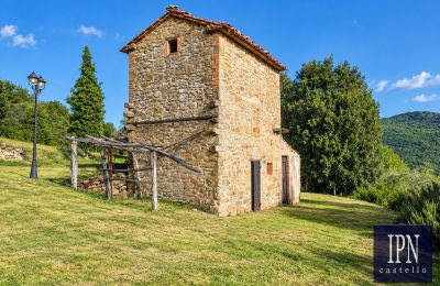 Venkovský dům na prodej Santa Maria alla Rassinata, Toskánsko, Foto 18/42