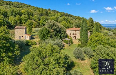 Venkovský dům na prodej Santa Maria alla Rassinata, Toskánsko, Foto 4/42