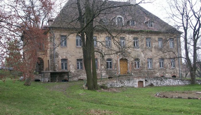 Zámek/Palác Kostrzyna 4