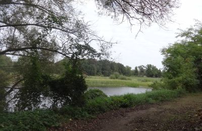 Zámek na prodej Łęg, Velkopolské, Park