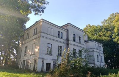 Zámeček na prodej Goniembice, Dwór w Goniembicach, Velkopolské, Foto 5/8