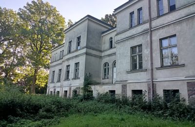 Zámeček na prodej Goniembice, Dwór w Goniembicach, Velkopolské, Boční pohled
