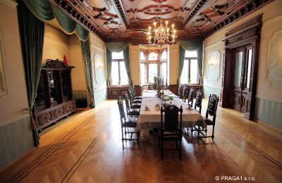 Historická vila na prodej Ústecký kraj:  