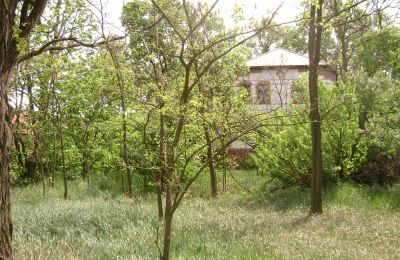 Venkovský dům na prodej Pleszew, Velkopolské,, Foto 5/5