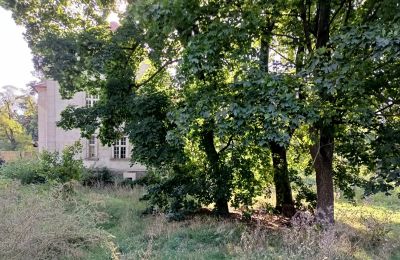 Zámeček na prodej Osieczna, Velkopolské, Park