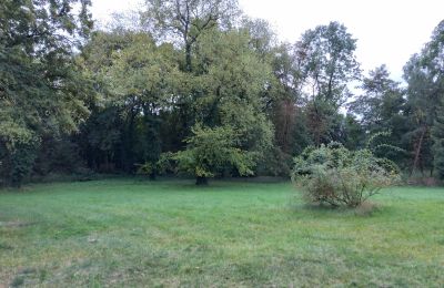 Zámeček na prodej Brodnica, Velkopolské, Park