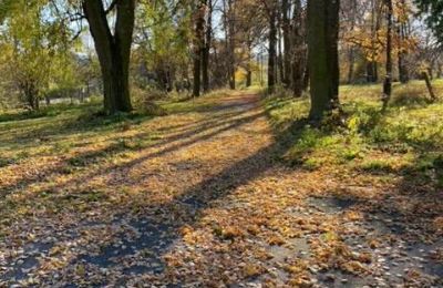 Zámeček na prodej Mzurów, województwo śląskie:  