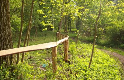 Zámek na prodej Stołeczna, Pałac w Stołecznej 20, Západopomořanské vojvodství, Park