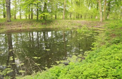 Zámek na prodej Stołeczna, Pałac w Stołecznej 20, Západopomořanské vojvodství, Jezero/rybník