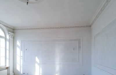 Zámek na prodej Lubstów, Pałac w Lubstowie, Velkopolské, Foto 16/33